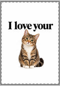 I Love Your Kitty Card